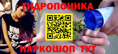 тгк Камышлов